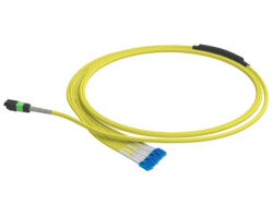 1m (3ft) MTP®-16 APC (Female) to 8 LC UPC Duplex OM4 Multimode Elite Breakout Cable (Color-coded), 16 Fibers, Plenum (OFNP), Magenta - LONGLINE