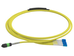 1m (3ft) MTP®-16 APC (Female) to 8 LC UPC Duplex OM4 Multimode Elite Breakout Cable (Color-coded), 16 Fibers, Plenum (OFNP), Magenta - LONGLINE (1)