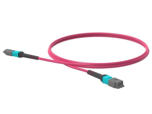 2m (7ft) MTP® PRO-12 (Male) to MTP® PRO-12 (Male) OM4 Multimode Elite Trunk Cable, 12 Fibers, Type B, Plenum (OFNP), Magenta - 3